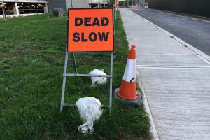 Sign Indicating a Slow Week